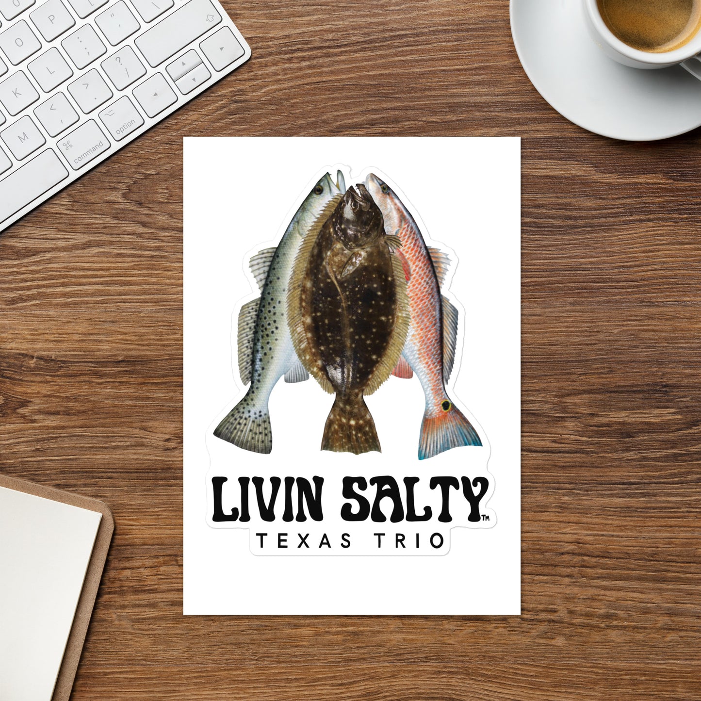 Texas Trio LIVIN SALTY Sticker sheet